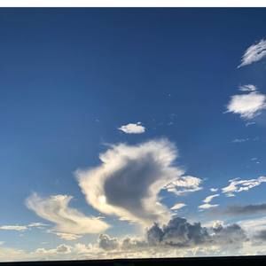 Meet your Posher, Ann